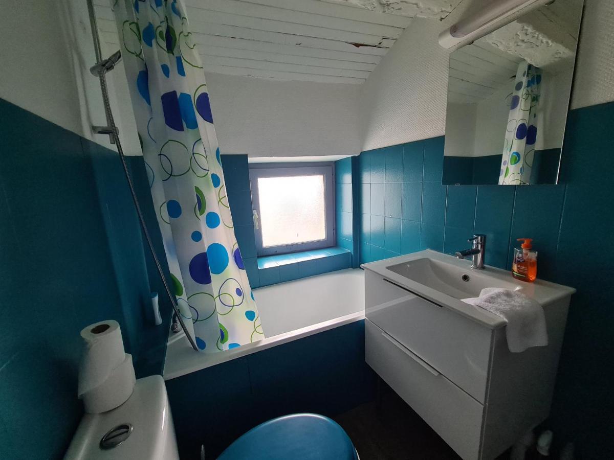 Les Cosy De Nancy - Le Duplex Aux Flammants Roses - 4Etoiles Apartment Екстериор снимка